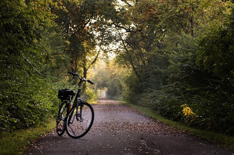 Bike Lights